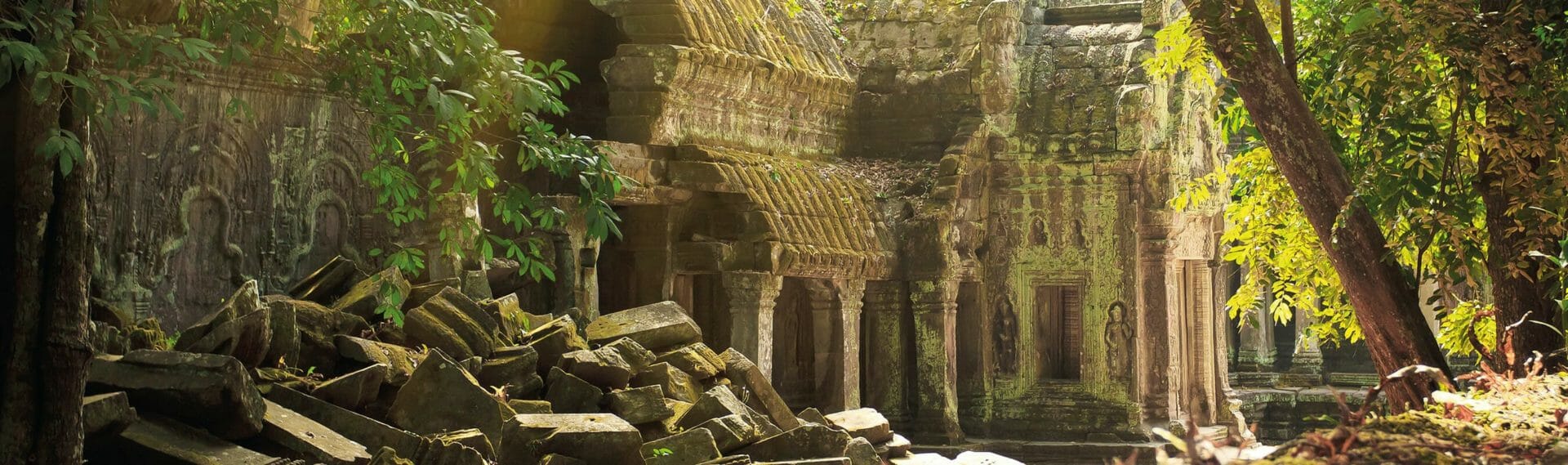 cambodge ta prohm