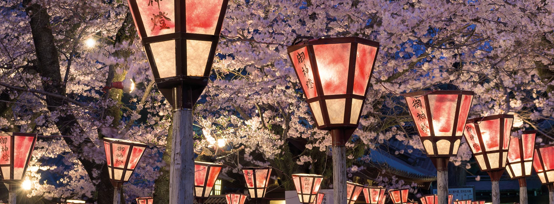 Lanternes_Shizuoka_1900x700