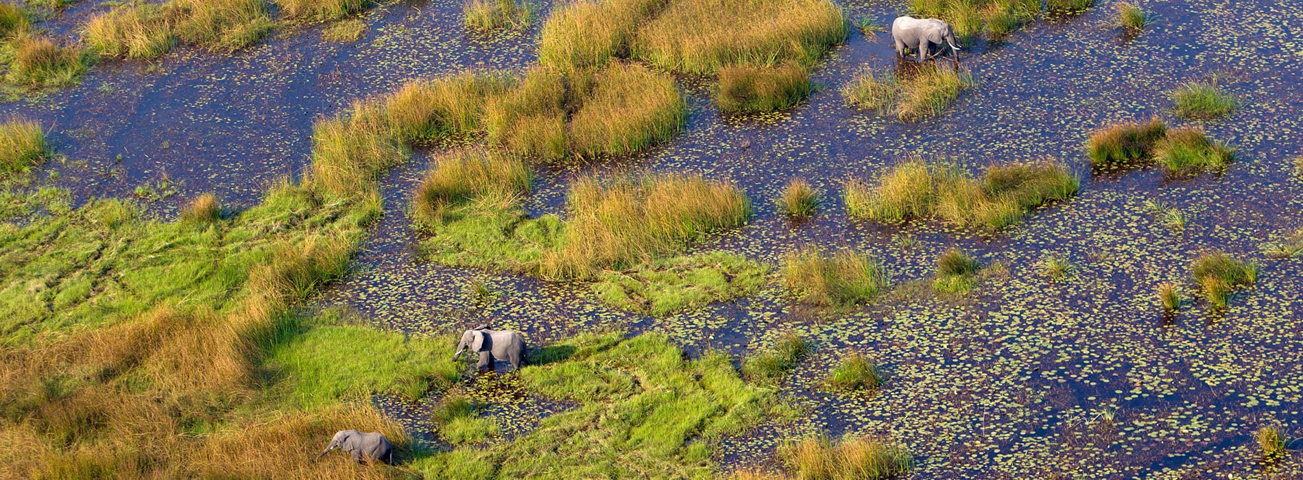 Okavango-Botswana_1900x700