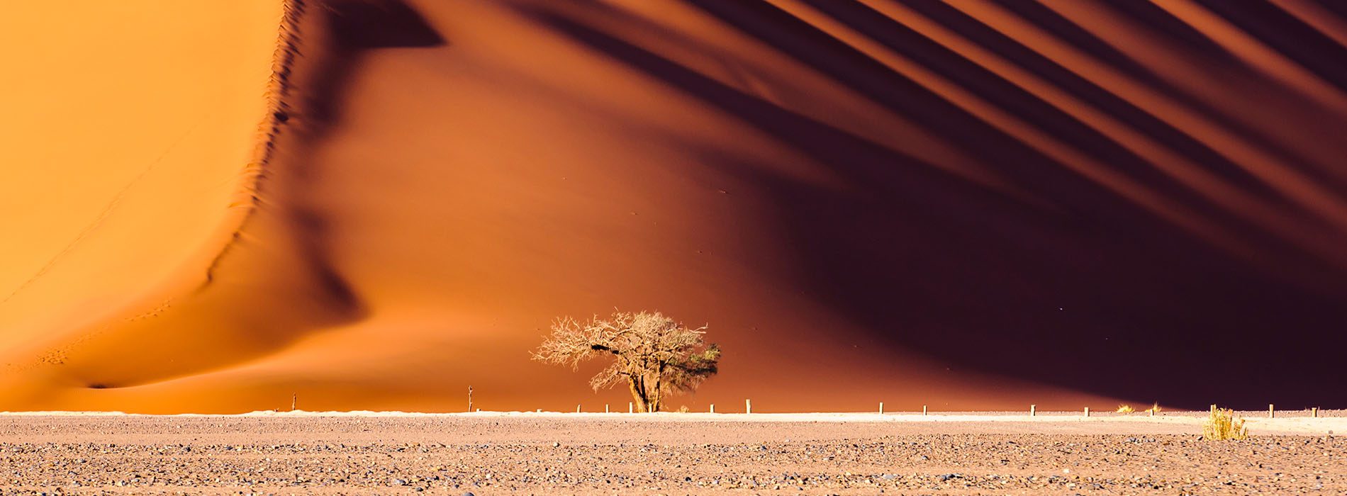 Dune45_Namibie_1900x700