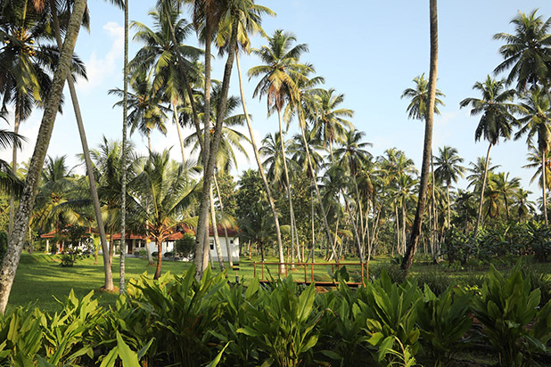 Ayurveda_jardin