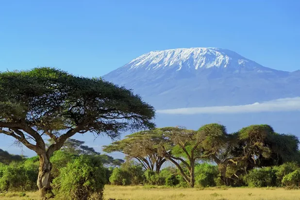 Kilimandjaro Amboseli 800