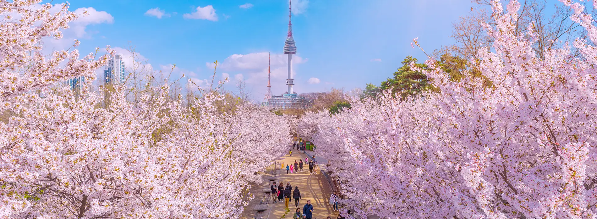 Seoul Forest Park 1900x700