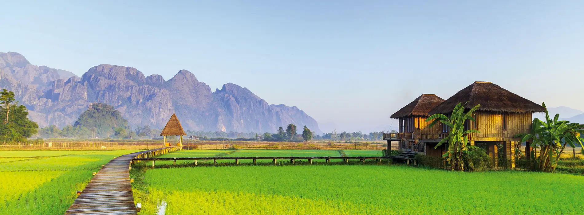 Laos_Riziere_1900x700