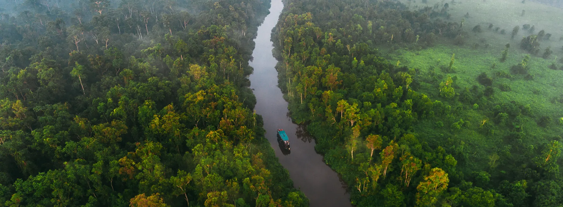 Tanjung Puting National Park 1900