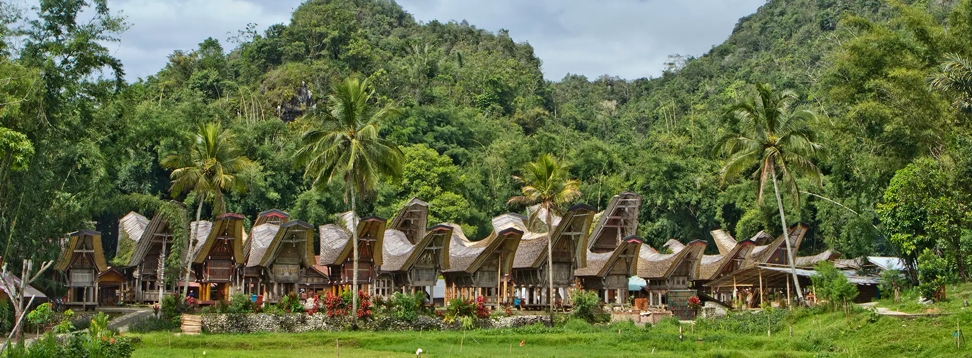 Sulawesi_habitations_1900x700