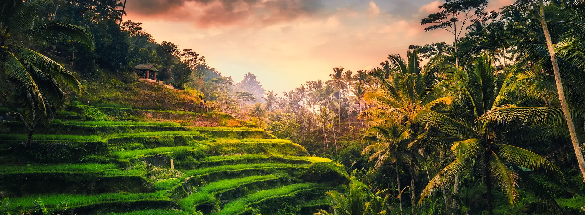 Tegalang 1900x700