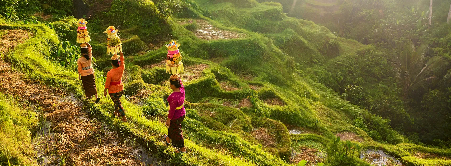 Bali Ubud 1900