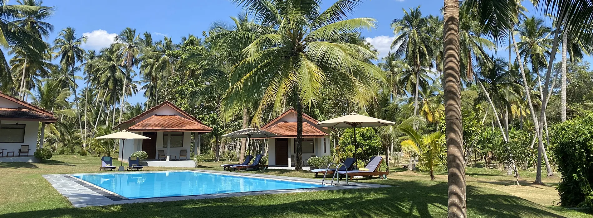 Ambarella-piscine